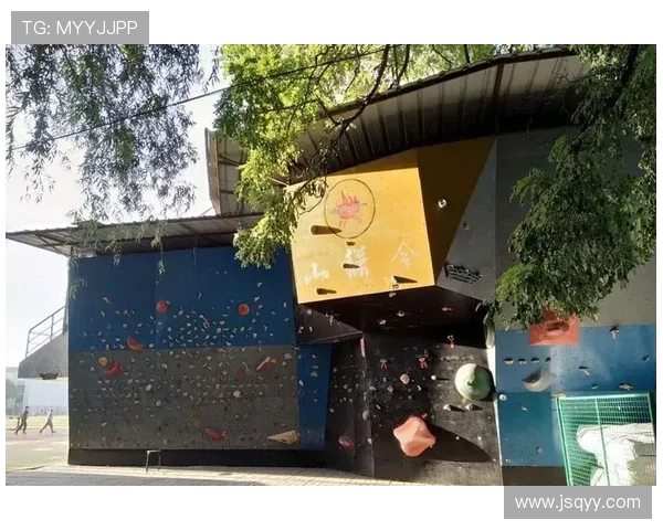 南京攀岩队的蜕变之旅：从传统训练到现代竞技的全新探索